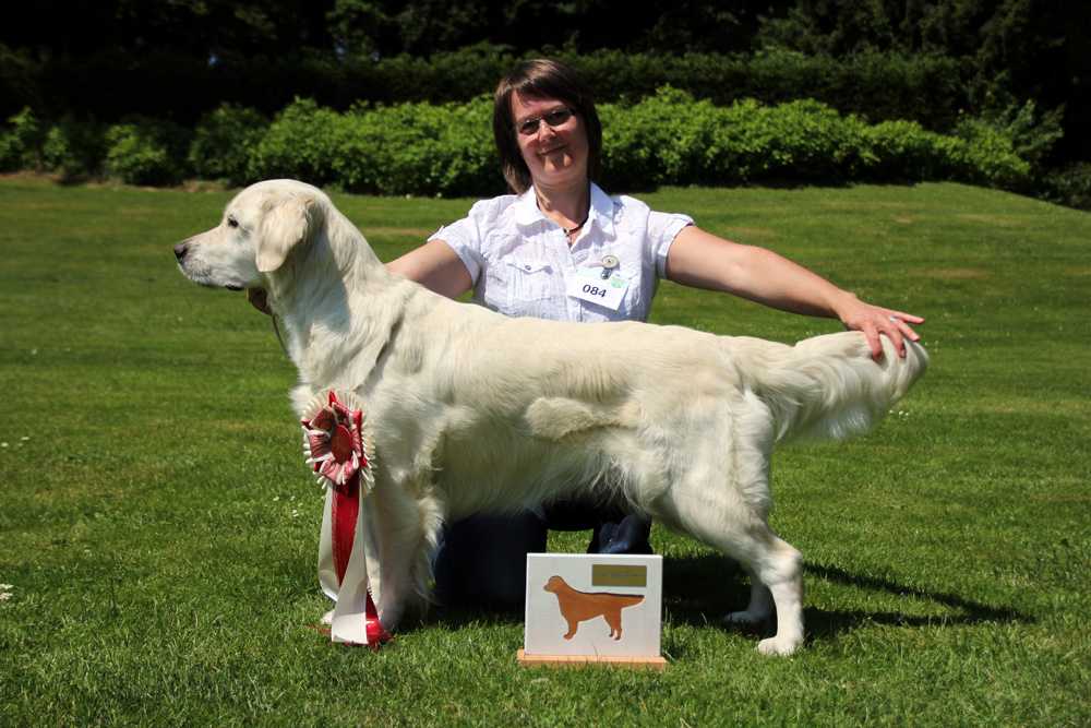 Elaine from Golden Eyes of Munroe ( Lissy )