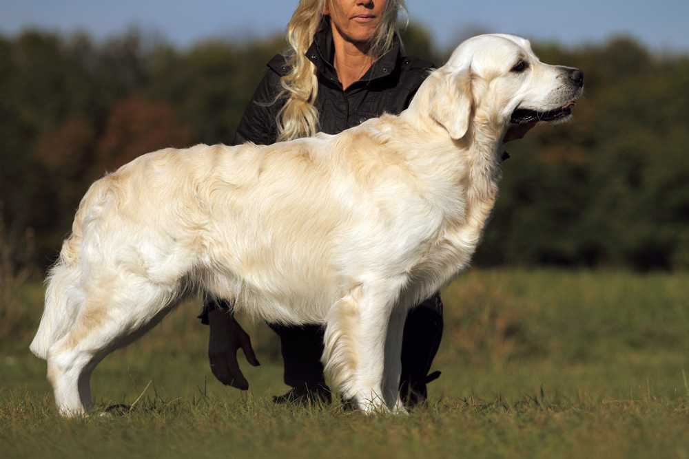 Eyven from Golden Eyes of Munroe