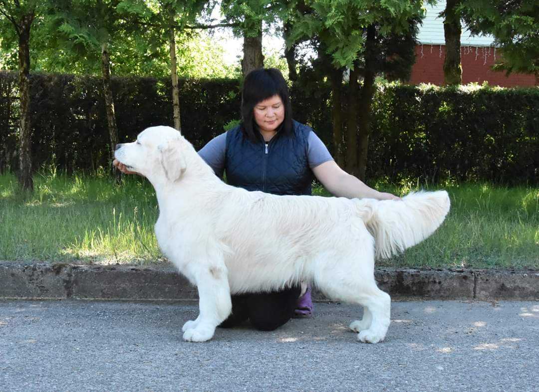 Milbu Twister to Nenuoramos