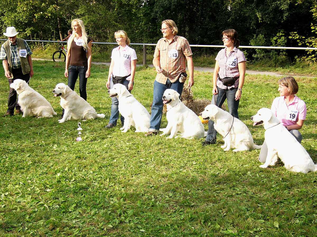 DRC Spezialzuchtschau Winnenden 2011